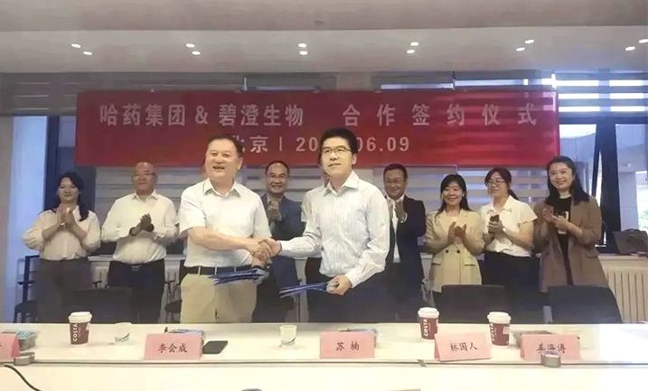 哈药携手清华大学，强强联合共创胶原蛋白行业未来